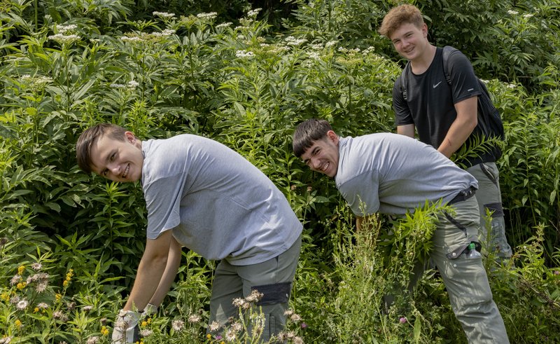 EMS-Lernende sorgen für schöne Wege und Weiden in Untervaz